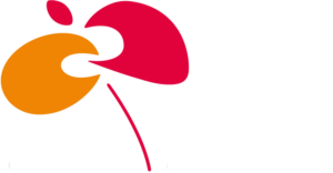 NFTK